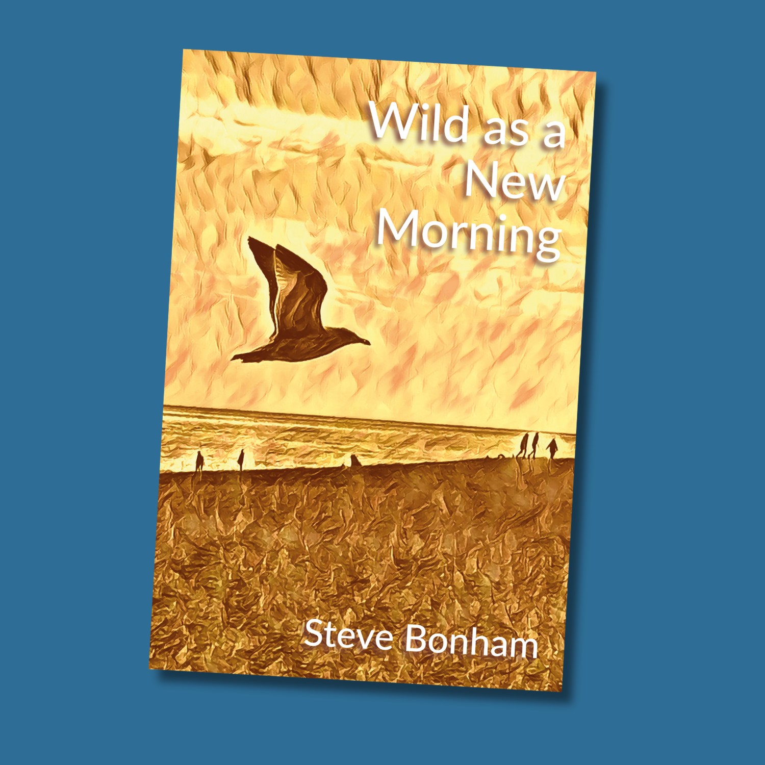 Wild as a New Morning (paperback)